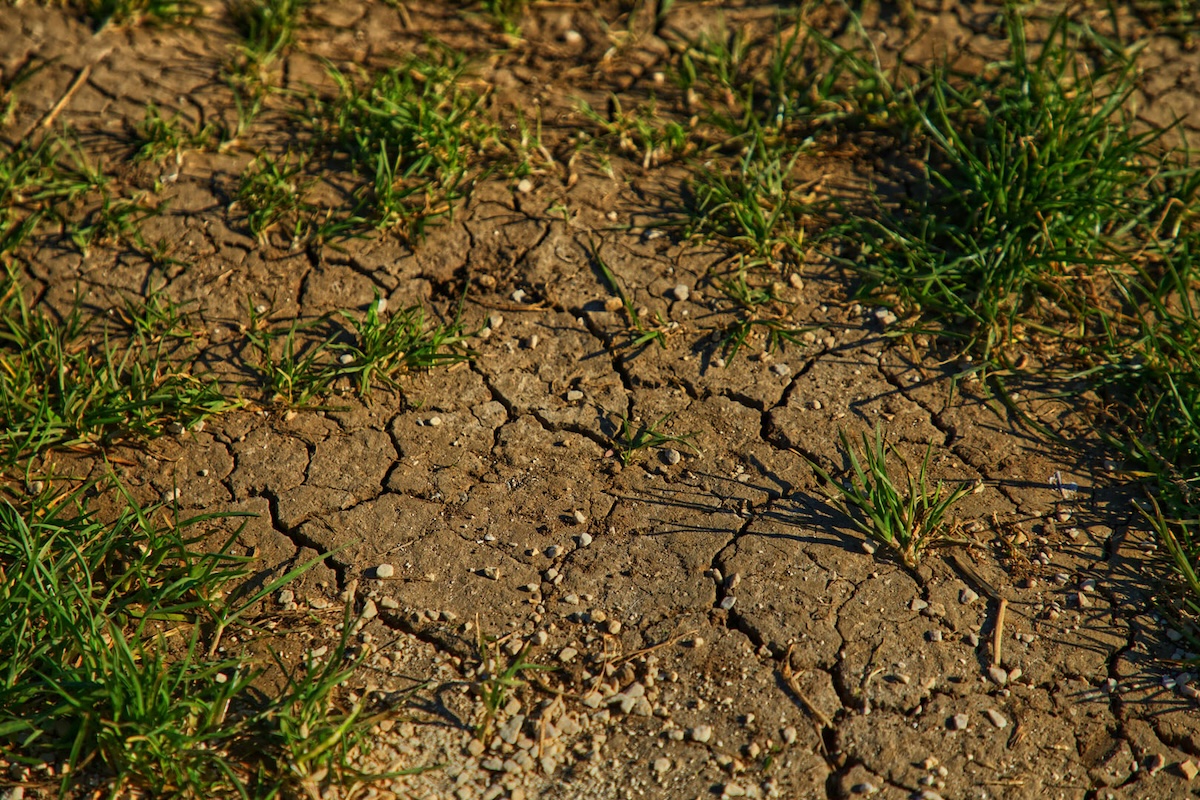cracked dry soil in drought